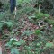 20120806_talwald_24b.jpg