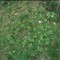 2004-09-27_x40-21_saat99.jpg