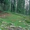 2004-09-27_x37-20_pt-01.jpg