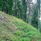 2004-09-27_x37-22_pt-02.jpg