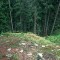 2004-09-27_x37-24_pt-03.jpg