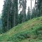 2004-09-27_x37-26_pt-04.jpg