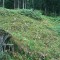 2004-09-27_x37-28_pt-05-berg.jpg