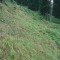 2004-09-27_x37-32_pt-06.jpg