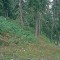 2004-09-27_x37-33_pt-07.jpg