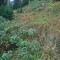 2004-09-27_x37-36_pt-08a.jpg