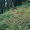 2004-09-27_x37-39_pt-09.jpg