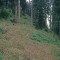 2004-09-27_x40-03_pt-10a.jpg