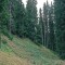 2004-09-27_x40-09_pt-11a.jpg