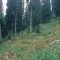 2004-09-27_x40-11_pt-11b.jpg