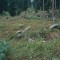 2004-09-27_x40-13_pt-11c.jpg