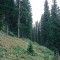 2004-09-27_x40-16_pt-12.jpg