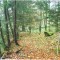 talwald_26.10.07_06.jpg