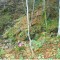 talwald_26.10.07_09.jpg