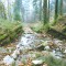 talwald_26.10.07_12.jpg