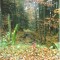 talwald_26.10.07_15.jpg