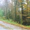 talwald_26.10.07_16.jpg