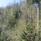 20150421_tellenbach_f3_et_05.jpg