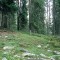 2008-10-22_b1.35-27-pt1.jpg