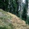 2008-10-22_b1.35-29-pt2.jpg