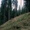 2008-10-22_b1.35-33-pt4.jpg