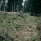 2008-10-22_b1.35-35-pt5berg.jpg