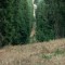 2008-10-22_b1.35-36-pt5.jpg