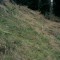2008-10-22_b1.35-39-pt6.jpg
