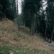 2008-10-22_b1.35-40-pt7.jpg