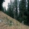 2008-10-22_b1.36-08-pt8b.jpg