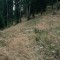 2008-10-22_b1.36-11-pt9.jpg