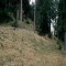 2008-10-22_b1.36-13-pt10a.jpg