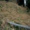2008-10-22_b1.36-16-pt10b.jpg