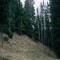2008-10-22_b1.36-18-pt11a.jpg
