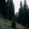 2008-10-22_b1.36-19-pt12.jpg