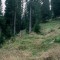 2008-10-22_b1.36-22-pt11b.jpg