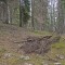 20190609-crf_0402_fp2.jpg