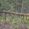 20190609-crf_0405_fb3.jpg