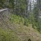 20190609-crf_0408_fp2.jpg