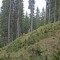 20190609-crf_0409_fp4.jpg