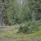20190609-crf_0412_fp5_tal.jpg