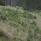 20190609-crf_0413_fp5_berg.jpg