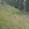 20190609-crf_0415_fp6.jpg