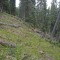 20190609-crf_0419_fp7.jpg