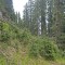 20190609-crf_0426_fp8_b.jpg