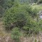 20190609-crf_0433_fp8_a2.jpg