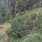 20190609-crf_0434_fb9.jpg