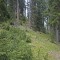20190609-crf_0439_fb10_a.jpg
