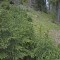 20190609-crf_0441_fb10_b.jpg