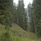 20190609-crf_0444_fp11_a.jpg